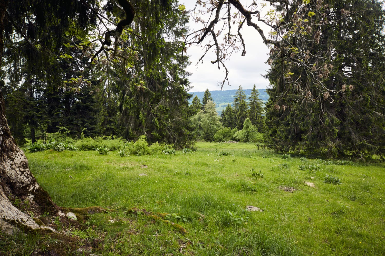 La-Tanne_Bild La-Tanne_Bild